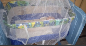 Swing Jhula for sale