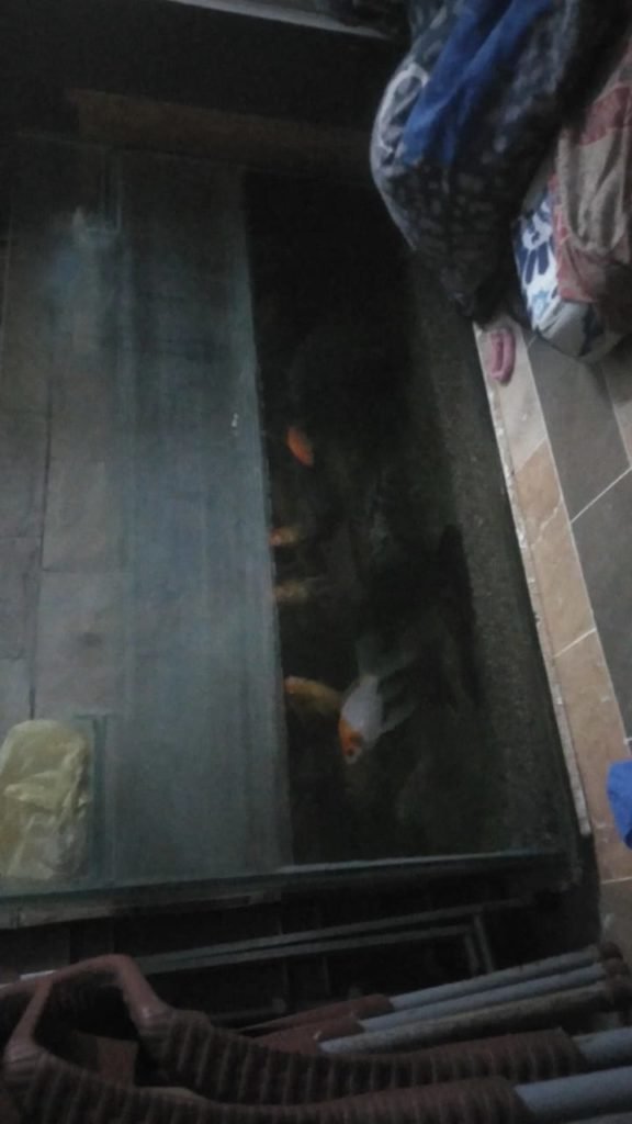 Aquarium for sale in Korangi, Karachi - photo 1