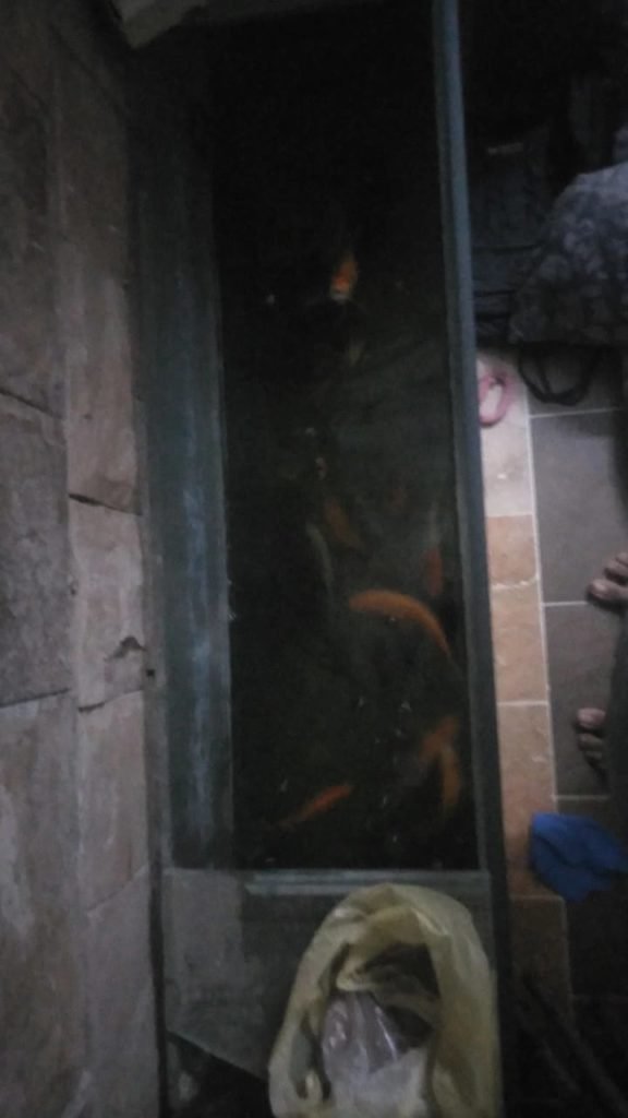 Aquarium for sale in Korangi, Karachi - photo 3