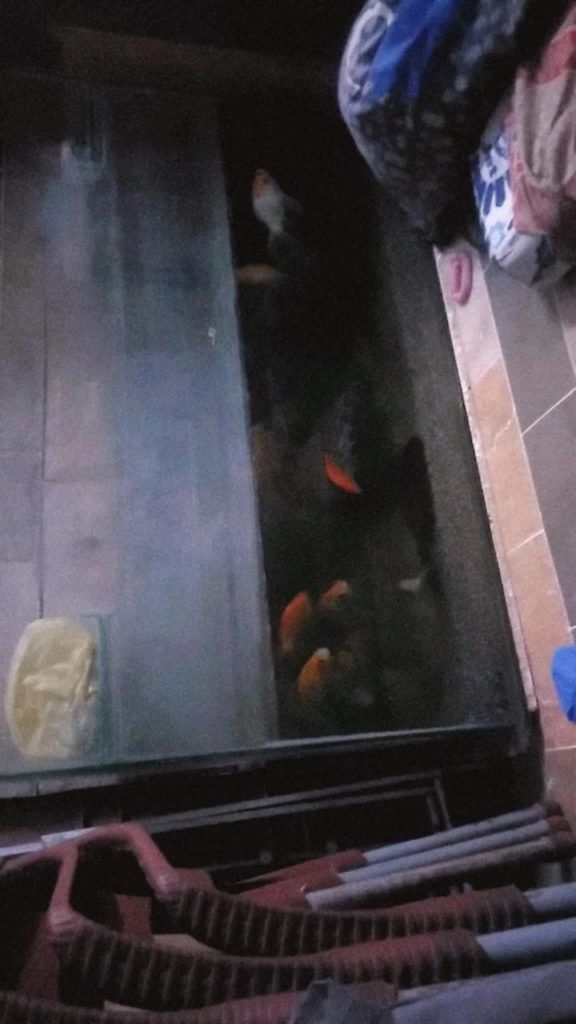 Aquarium for sale in Korangi, Karachi - photo 2