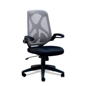 Office Furniture | Office executive chairs | Fiji Staff Chair(GB)
