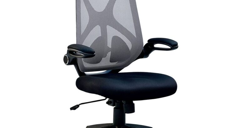 Office Furniture | Office executive chairs | Fiji Staff Chair(GB)