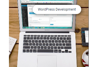 Make Your WORDPRESS WEBSITE A Reality