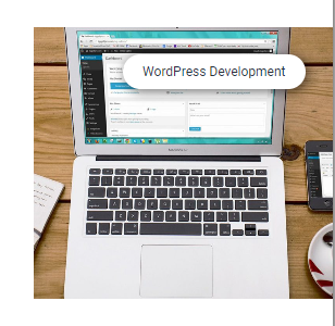 Make Your WORDPRESS WEBSITE A Reality