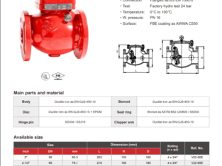 FLANGED SWING CHECK VALVE CHINA