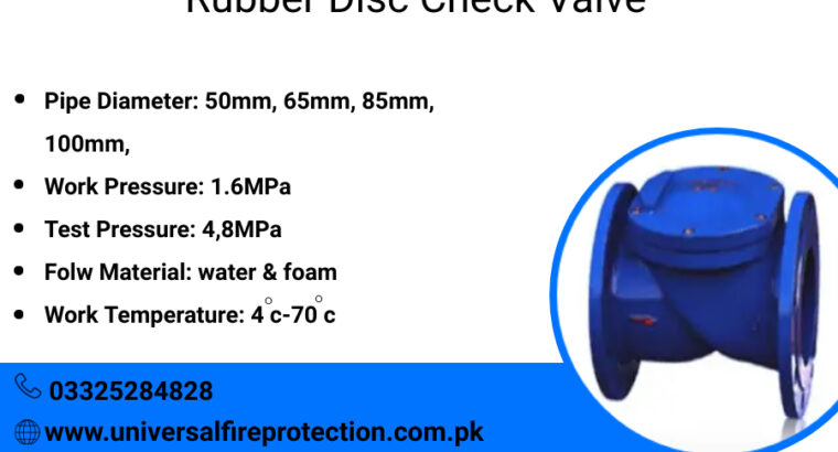 Rubber Disc Check Valve