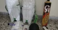 Cricket gear for sale in Islamabad