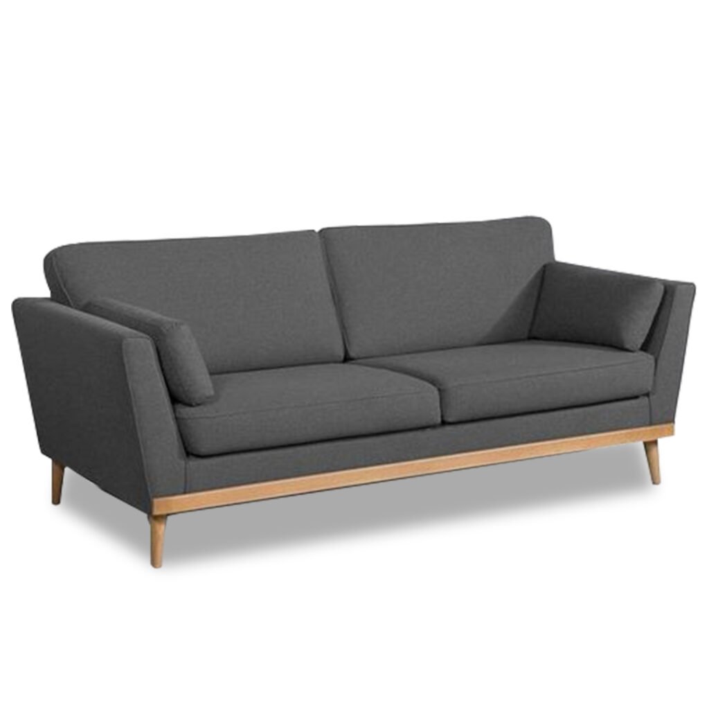 Black 2 Seater Sofa | Visitor Sofa | Stylish Furniture