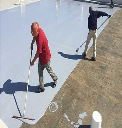 Roof Waterproofing Services Basement leakage Bathroom Leakage Water Tank Le