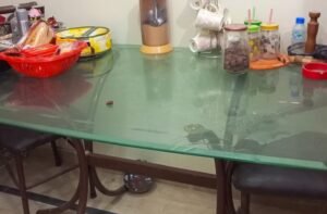 Dining Table In New Condition For Sale