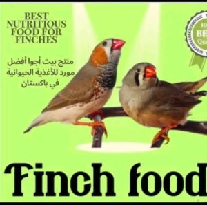 Finch seed Finch Feed For Winter