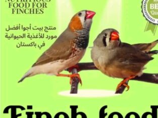 Finch seed Finch Feed For Winter