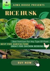 Rice Husk Chawal ka Chilka Dhaan Chawal ki prali Rice hull mushroom substra