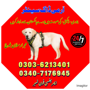 Army Dog Center Sargodha 03036213401