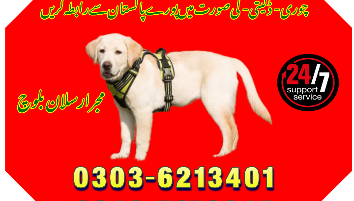 Army Dog Center Sargodha 03036213401