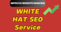 Monthly white hat SEO Service