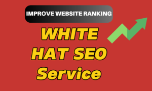 Monthly white hat SEO Service