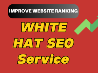 Monthly white hat SEO Service