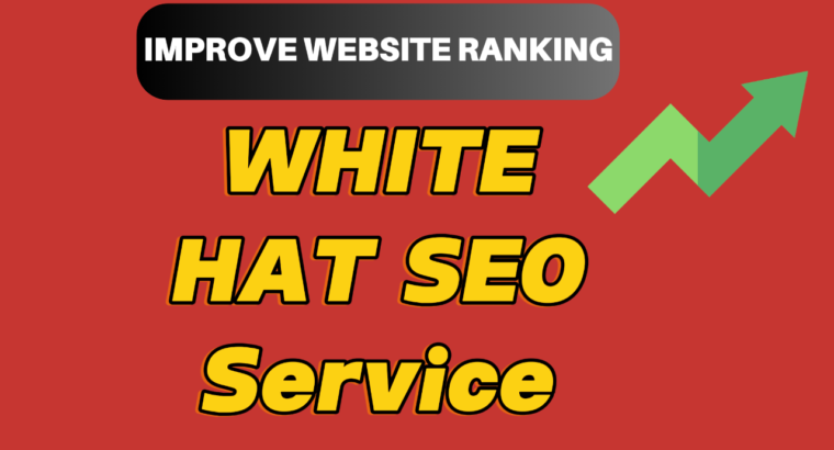 Monthly white hat SEO Service