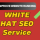 Monthly white hat SEO Service