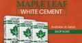 Maple Leaf White Cement Available On Zarea