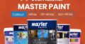 Master Paints Available on Zarea.pk