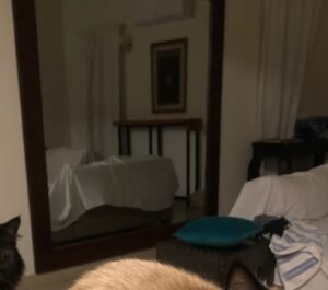 Mirror with pure WOODEN FRAME – URGENT SALE
