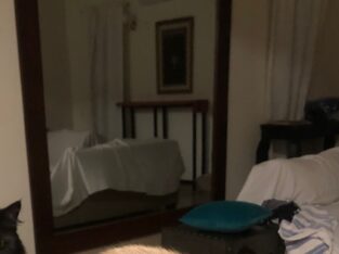 Mirror with pure WOODEN FRAME – URGENT SALE
