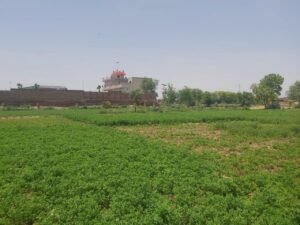 Commercial Value Property For Sale at Painsra City