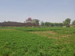 Commercial Value Property For Sale at Painsra City
