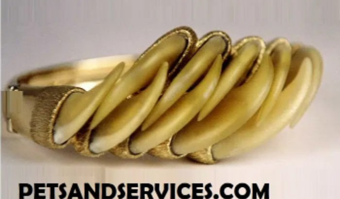 Origional Lion Claw