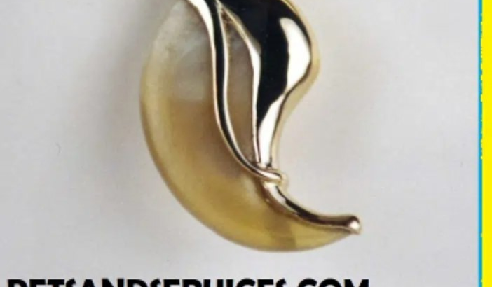 Origional Lion Claw