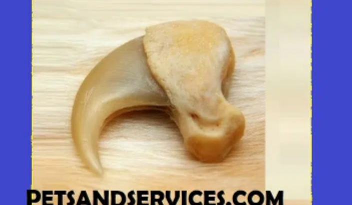 Origional Lion Claw