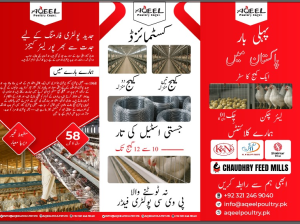 Aqeel Poultry Cages