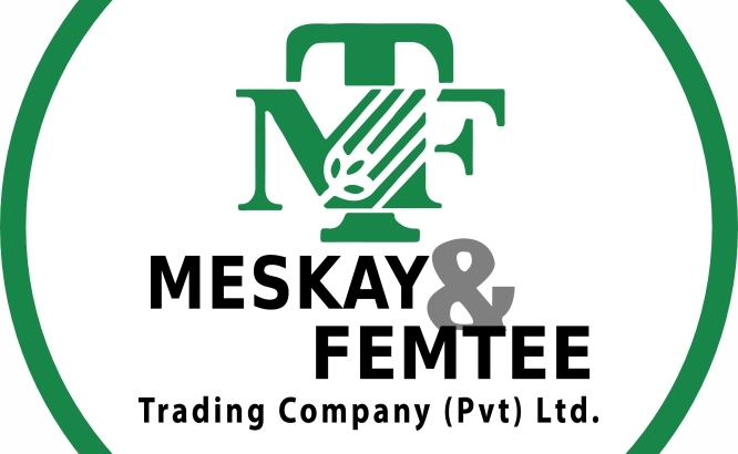 Meskay & Femtee Trading Company (Pvt) Ltd