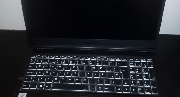 MEDION Erazer Crawler E10 Gaming Laptop