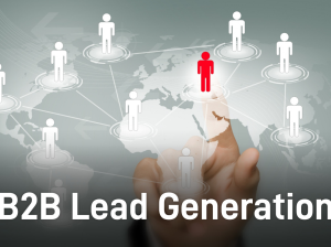 B2B Lead Generation, Candidate Sourcing and Virtual Assistance