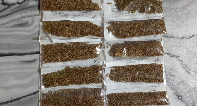 Spices / Masalah / مصالحہ جات
