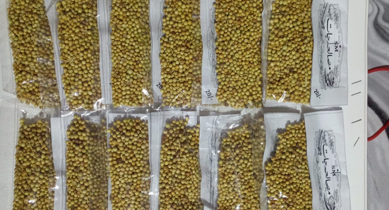 Spices / Masalah / مصالحہ جات
