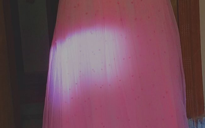 Elegant Pink Net Maxi Gown with Beautiful Embroidery