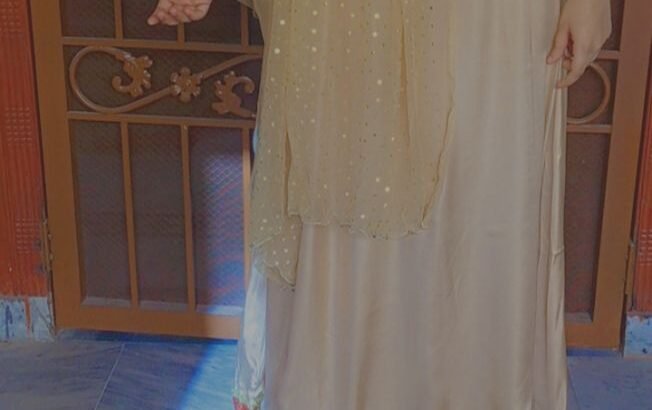 Elegant Banarasi Style Choli with Satin ...