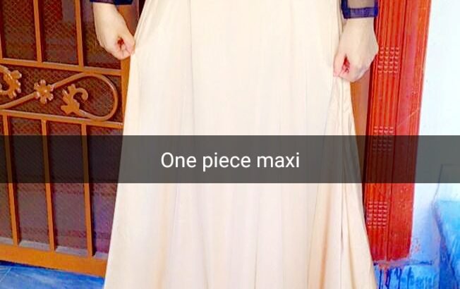 Elegant Skin Color Silk Maxi Gown with Black Net Sleeves
