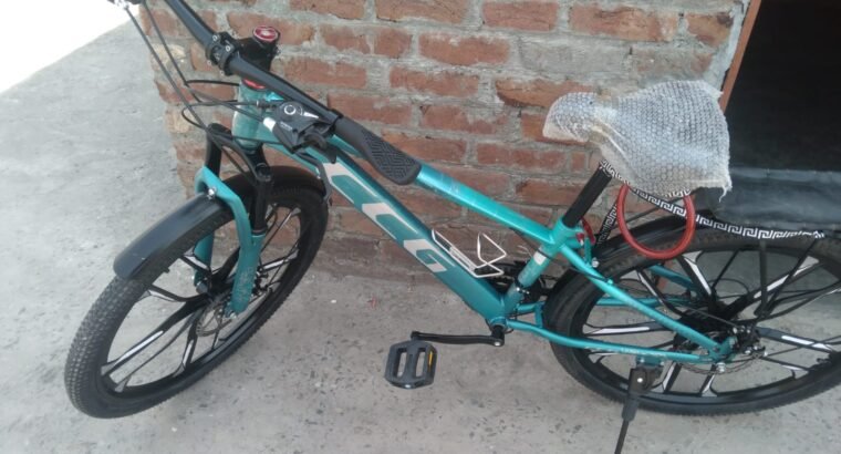 CCD mtb