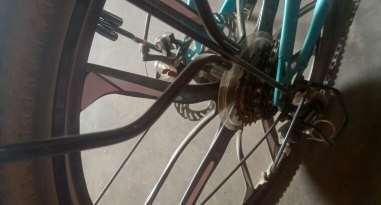 CCD mtb