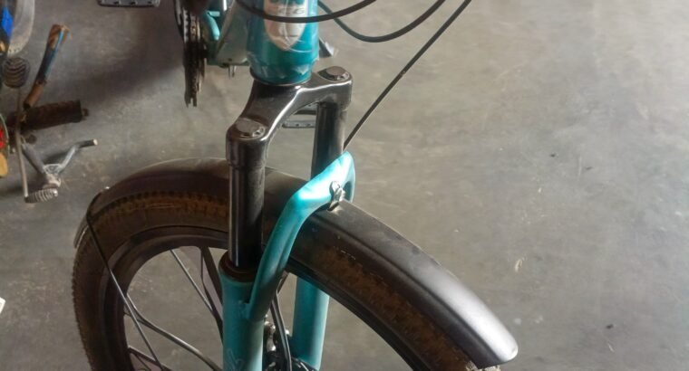 CCD mtb