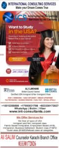 ICS international consulting service