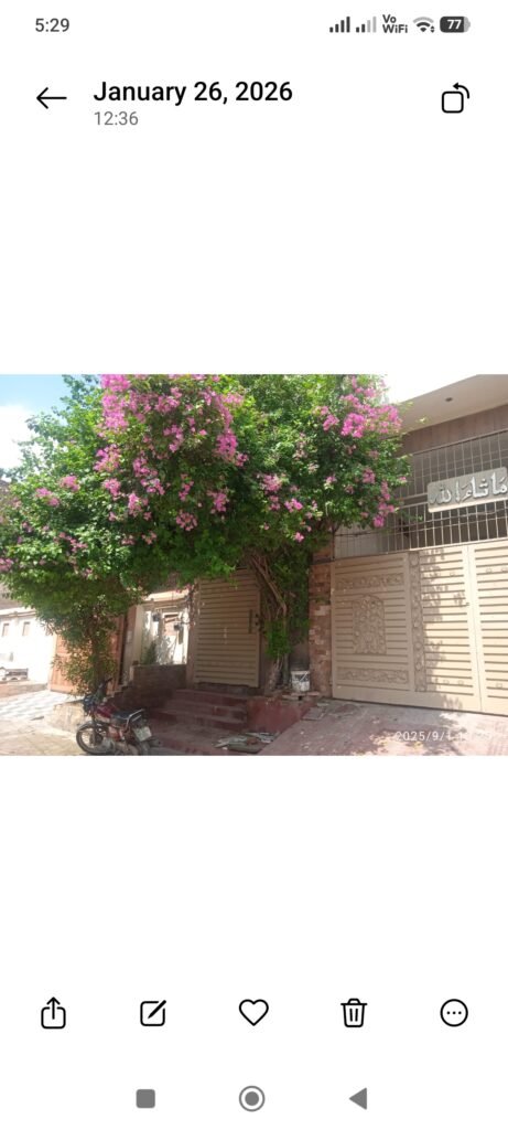 10 marla basement or ground floor home for sale in Faisalabad - photo 2