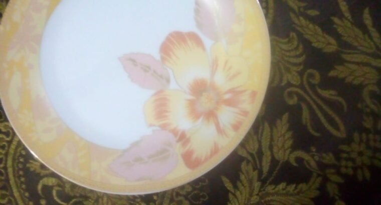 Premium Dinner Set for sale in Lahore in Rs.25000 only!