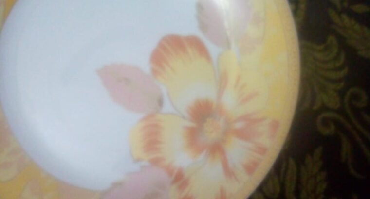 Premium Dinner Set for sale in Lahore in Rs.25000 only!