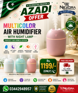 Multicolor Air Humidifier with Night Lamp for Home